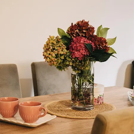 Valerija Apartment Doboj